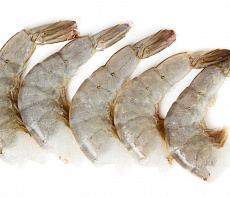 Креветка черная тигровая без головы (13-15)