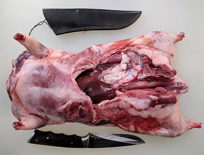 Товар Нутрия тушка (1,5-3кг)